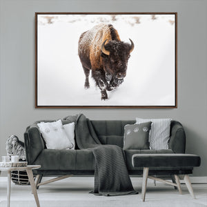 Bison Winter Wall Art Canvas Print For Farmhouse Decor