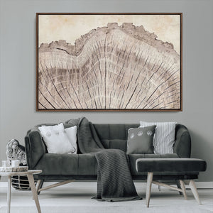 Tree Ring Wall Art Triptych, Rustic Wood Ring Canvas Print,
