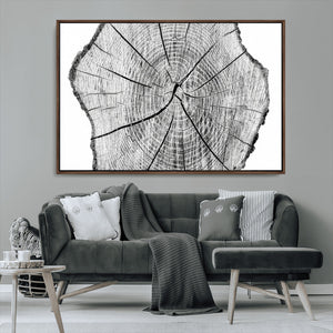 Rustic Tree Ring Wall Art Canvas Print – Framed and Ready to