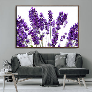 Lavender Flower Wall Art Canvas Print
