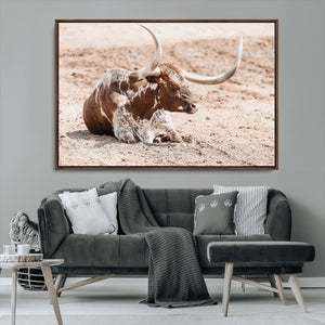 Texas Longhorn Wall Art Canvas Print – Framed Resting Bull