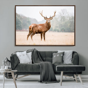 Vintage Wildlife Wall Art Canvas Print – Misty Landscape