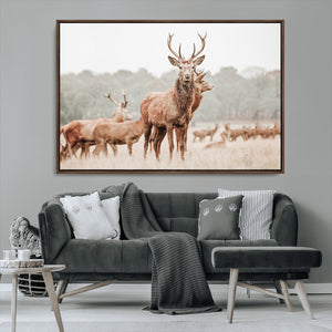 Rustic Nature Wall Art Canvas Print – Stag Woodland Framed