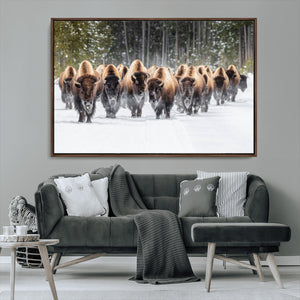 American Bison Herd Wall Art Canvas Print – Powerful Winter