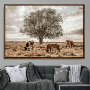 Texas Longhorn Cattle Wall Art, Rustic Western Ranch Canvas