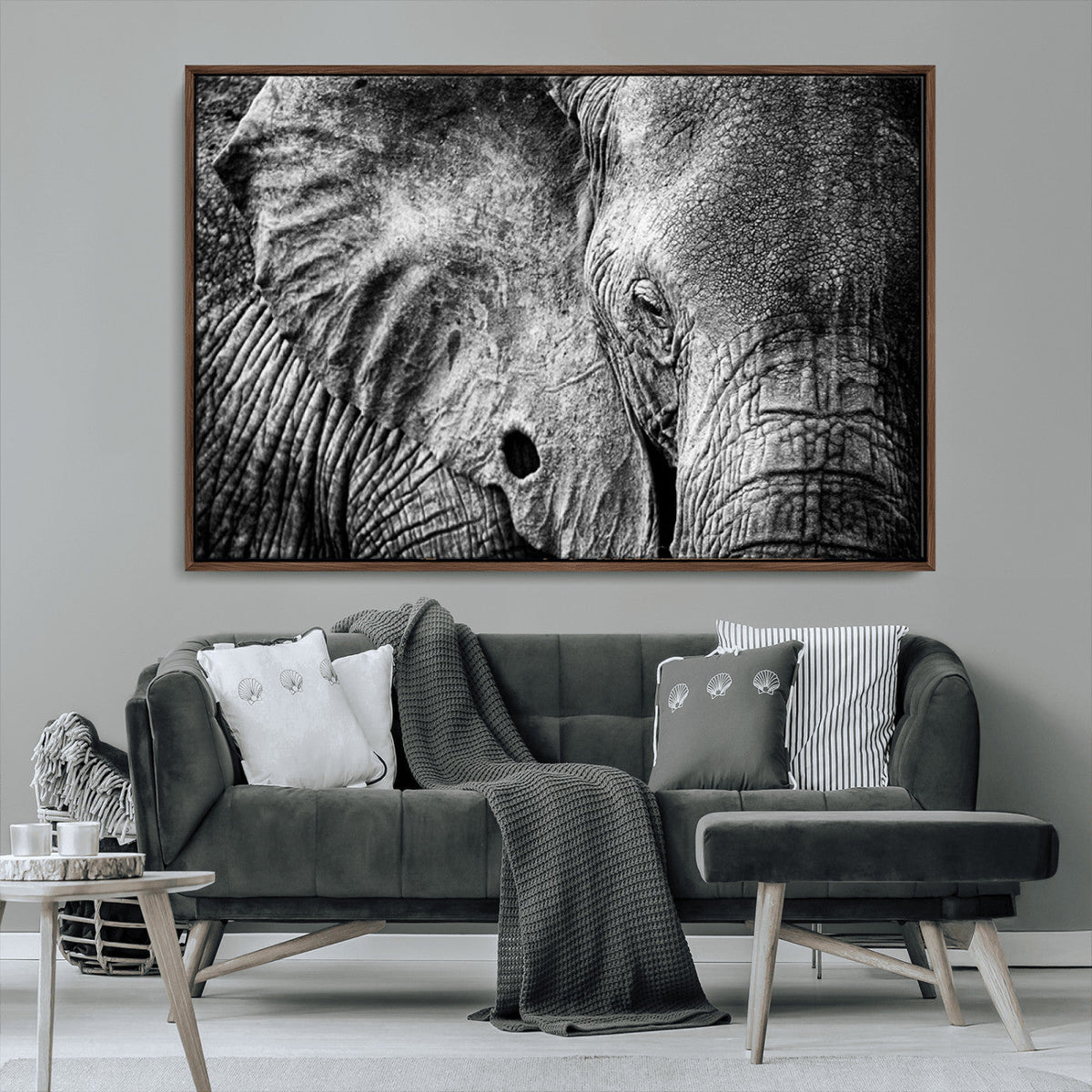 Wild Old Elephant Wall Art Canvas Print