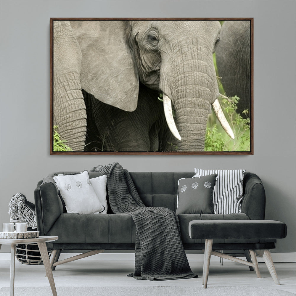 Wild Elephant Wall Art Canvas Print