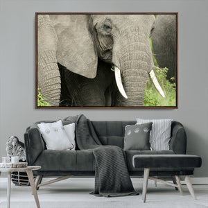 Wild Elephant Wall Art Canvas Print