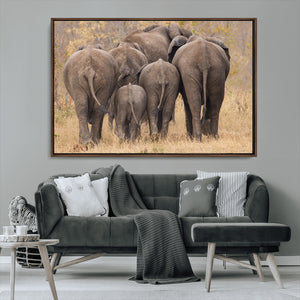 Wild Elephant Wall Art Canvas Print