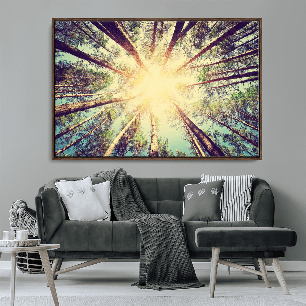 Tree and Sunshine Canvas Print