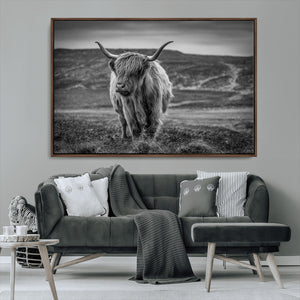 Fluffy Cattle Wall Art Print, Highland Cow Canvas, Framed