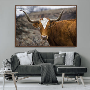 Texas Longhorn Canvas Wall Art - Longhorn Steer Canvas Wall