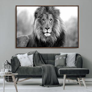 Black and White Lion Canvas Wall Art – Animal Print Artwork