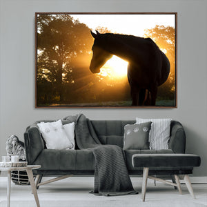 Horse at Sunset Wall Art Animal Canvas Print
