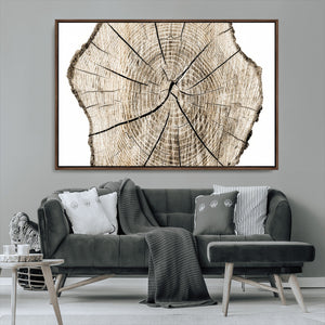 Abstract Wood Tree Ring Wall Art - Ready to Hang Minimalist