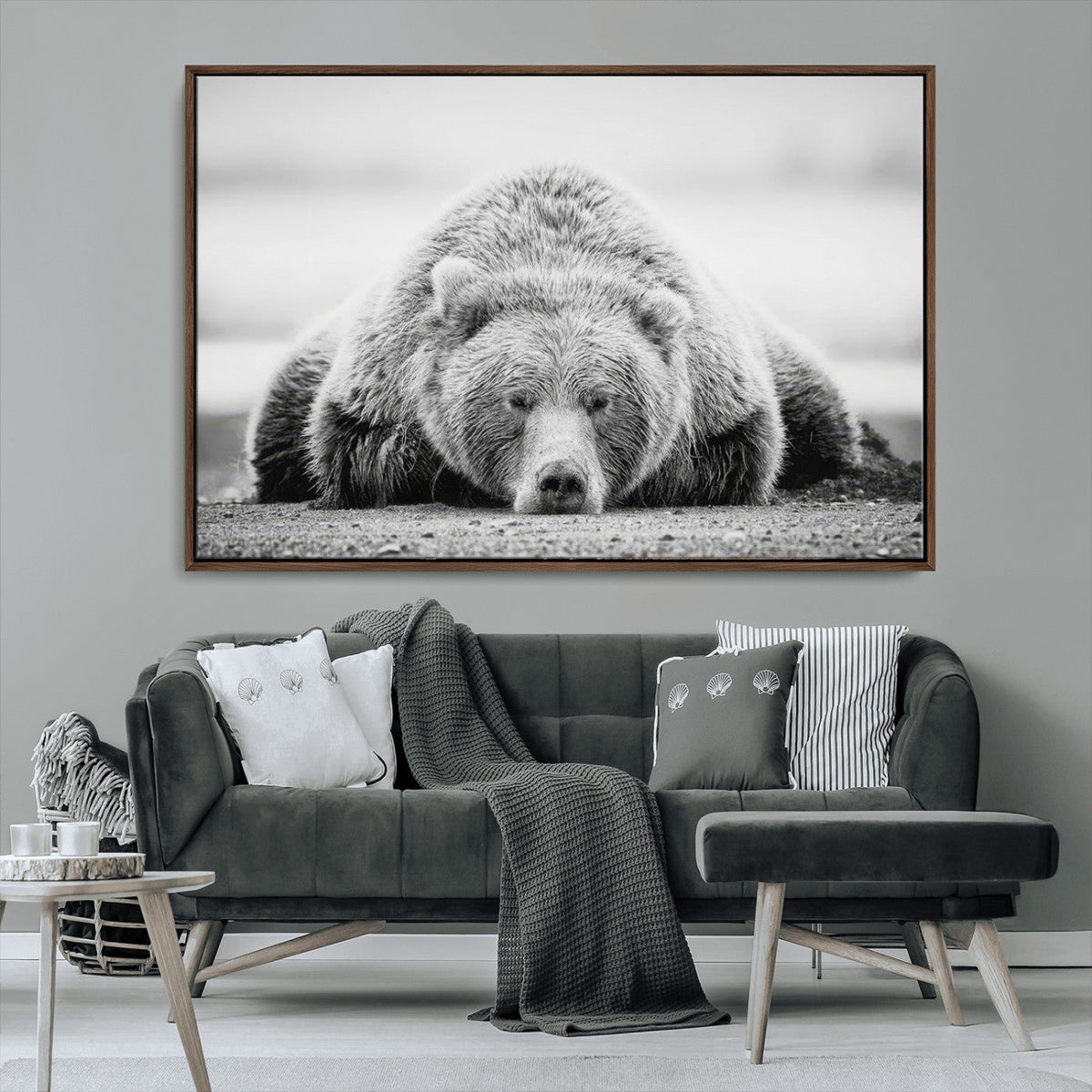 Resting Grizzly Bear Wall Art Canvas Print – Majestic Lazy