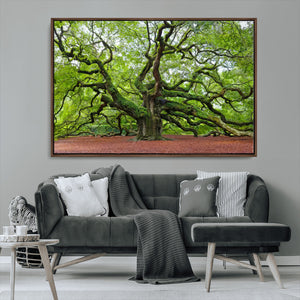 Framed Angel Oak Tree Wall Art - 3-Panel Canvas Prints,