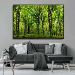 Lush Green Forest Canvas Print | 3-Panel Forest Wall Art |