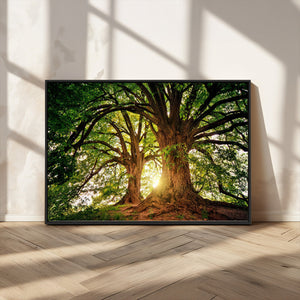 Majestic Ancient Tree Wall Art, NatureCanvas Print, Woodland