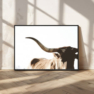 Texas Longhorn Wall Art Canvas Print | 3-Panel Large