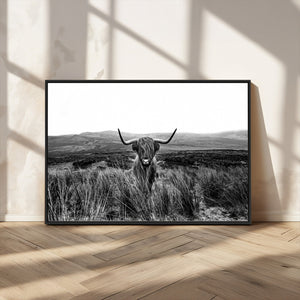 Black and White Highland Cow Canvas Wall Art, Longhorn