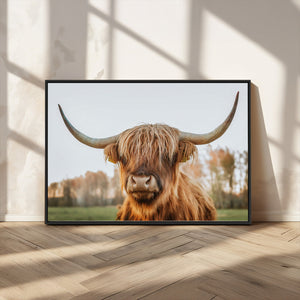 Highland Cow Animal Scottish Cattle Art Print Farmhouse Wall