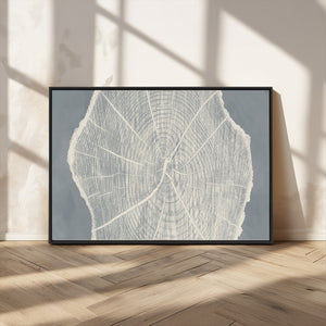 Abstract Tree Ring Wall Art Canvas Print – Nature-Inspired,