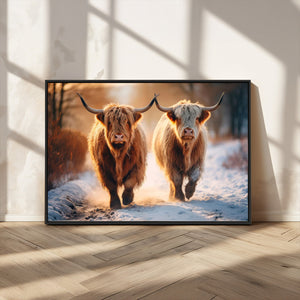 Scottish Highland Cow Horn Farm Wall Art Canvas Print