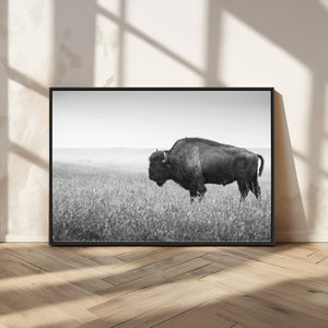 Bison Wall Art Canvas Print – Framed Rustic Wildlife Scene