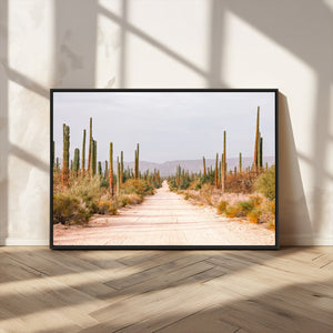Desert Cactus Lined Road Wall Art Canvas Print – Framed