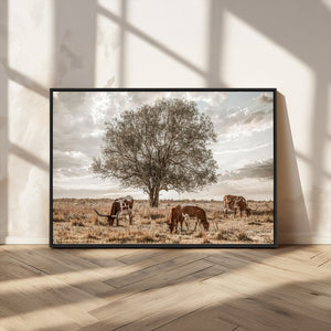 Texas Longhorn Cattle Wall Art, Rustic Western Ranch Canvas