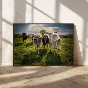 Grazing Cattle Herd Wall Art Canvas Print, Majestic Farm