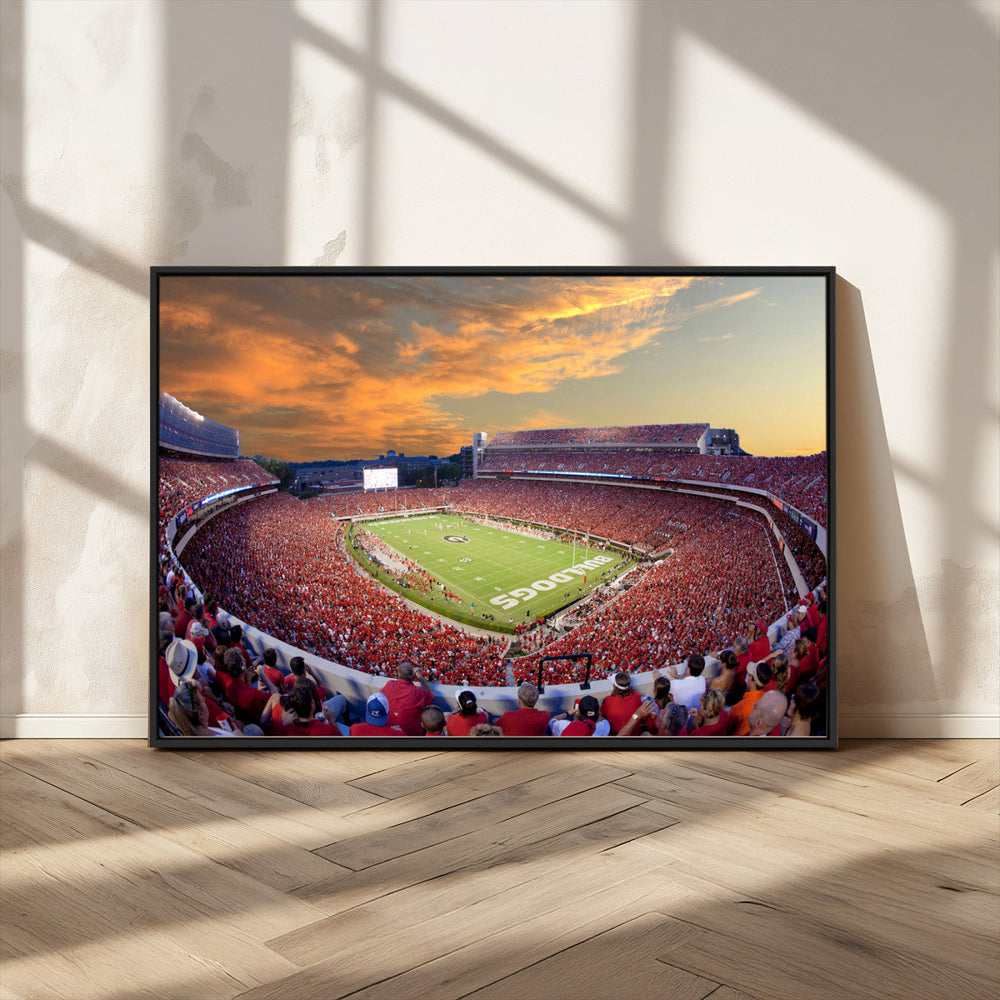 Dooley Stadium Wall Art, Sports Arena Canvas Print, Dooley
