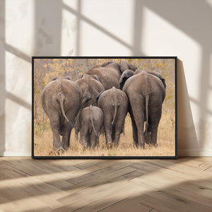 Wild Elephant Wall Art Canvas Print