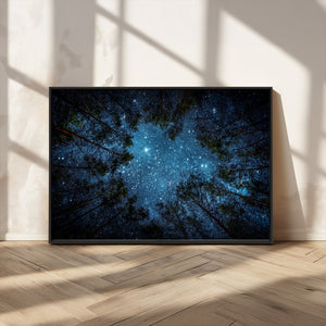 Forest and Stars Wall Art Canvas Print