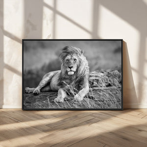 King Forest Lion Wall Art Canvas Print – Framed Majestic