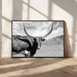 Cattle Wall Art Longhorn Cow Canvas Print
