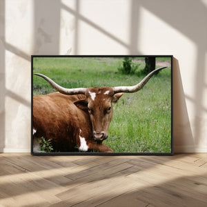 Longhorn Steer Canvas Wall Art – Rustic Nature Triptych