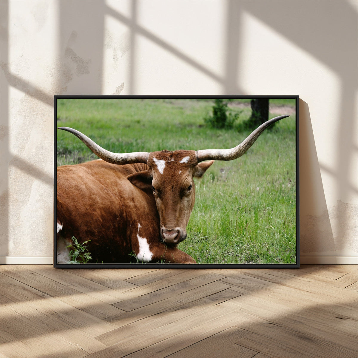 Longhorn Cow Animal Wall Art Canvas Print