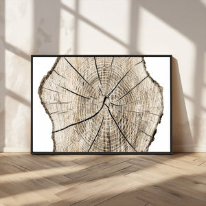 Abstract Wood Tree Ring Wall Art - Ready to Hang Minimalist