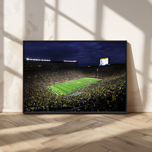 Michigan Wolverines Football Canvas Wall Decor, Football