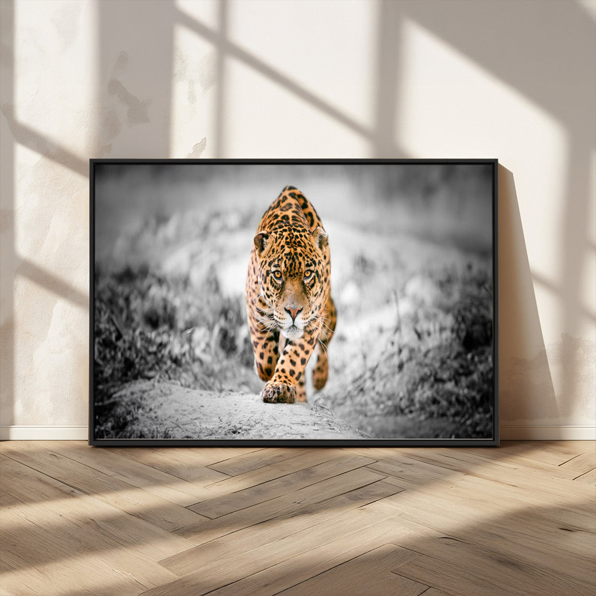 Jaguar Wall Art Canvas Print - Majestic Big Cat in Focused