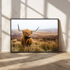 Scottish Highland Cow Canvas Wall Art – Rustic Farmhouse