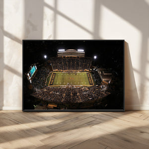 Wake Forest University Demon Deacons Canvas Printi, Football