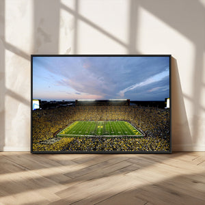 University of Michigan Wolverines Football Team Print - Ann