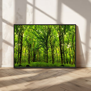 Lush Green Forest Canvas Print | 3-Panel Forest Wall Art |