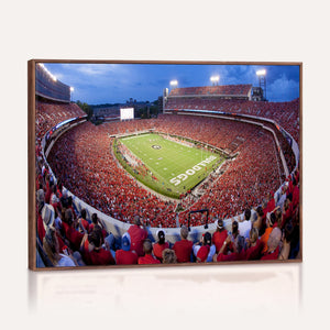 Dooley Stadium Wall Art, Sports Arena Canvas Print, Dooley
