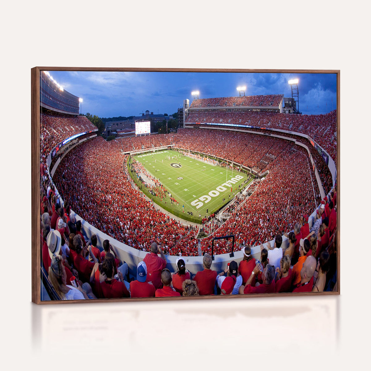 Dooley Stadium Wall Art, Sports Arena Canvas Print, Dooley