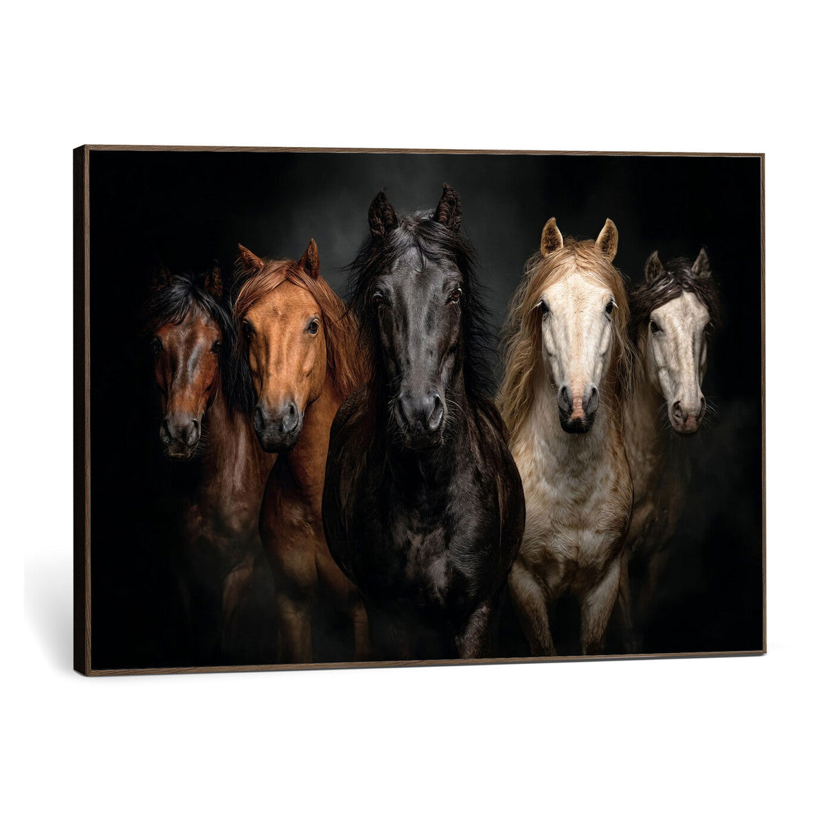 Horse Wall Art Canvas Print, Wild Horses Portrait Photography, Dramatic Equestrian Decor, Black Brown White Horse Herd, Rustic Ranch Art