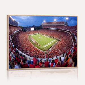 Dooley Stadium Wall Art, Sports Arena Canvas Print, Dooley